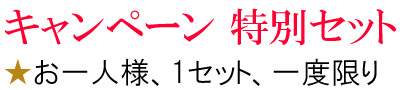 キャンペーン特別セット