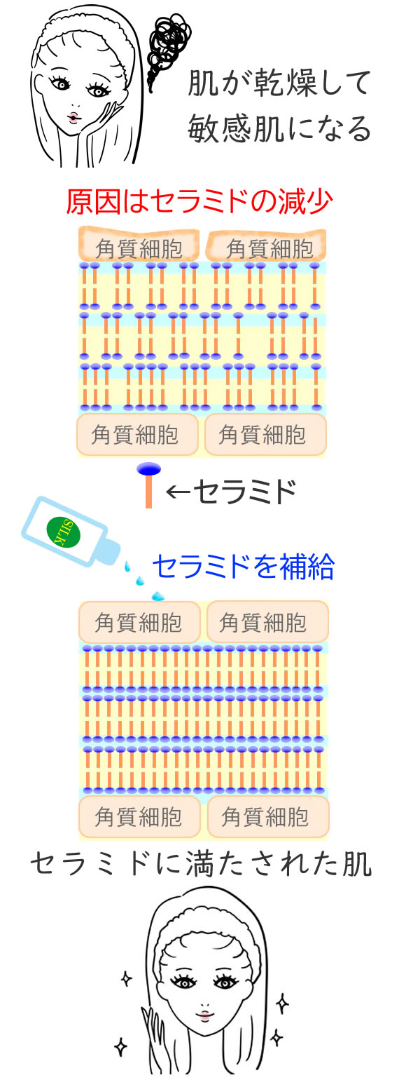 肌が乾燥して敏感肌になる