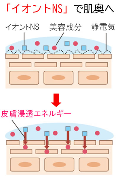 「イオントＮＳ」で肌奥へ