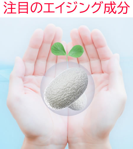 注目のエイジング成分