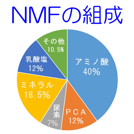 NMFの組成