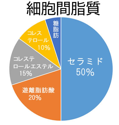 細胞間脂質