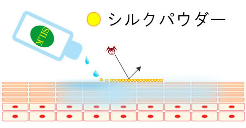 シルクパウダーによるバリア機能