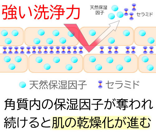 強い洗浄力